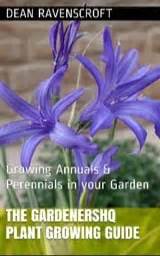 fawxlily|Erythronium Plant Growing & Care Guide for Gardeners.